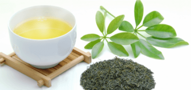 日本茶セレクター認定試験