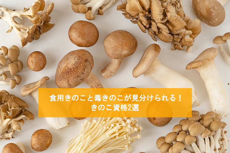 食用きのこと毒きのこが見分けられる！きのこ資格2選