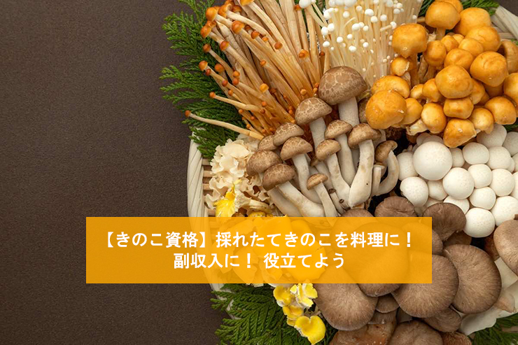 【きのこ資格】採れたてきのこを料理に！副収入に！役立てよう